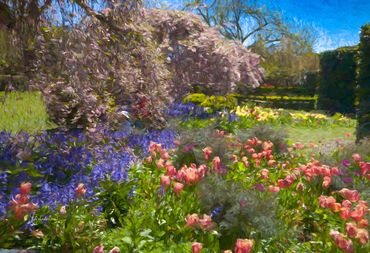 A little girl in a white hat peaks from a field of peach , purple and pink blossoms