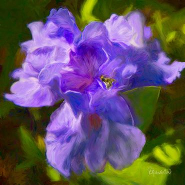 A large purple blossom being visited by a bee.