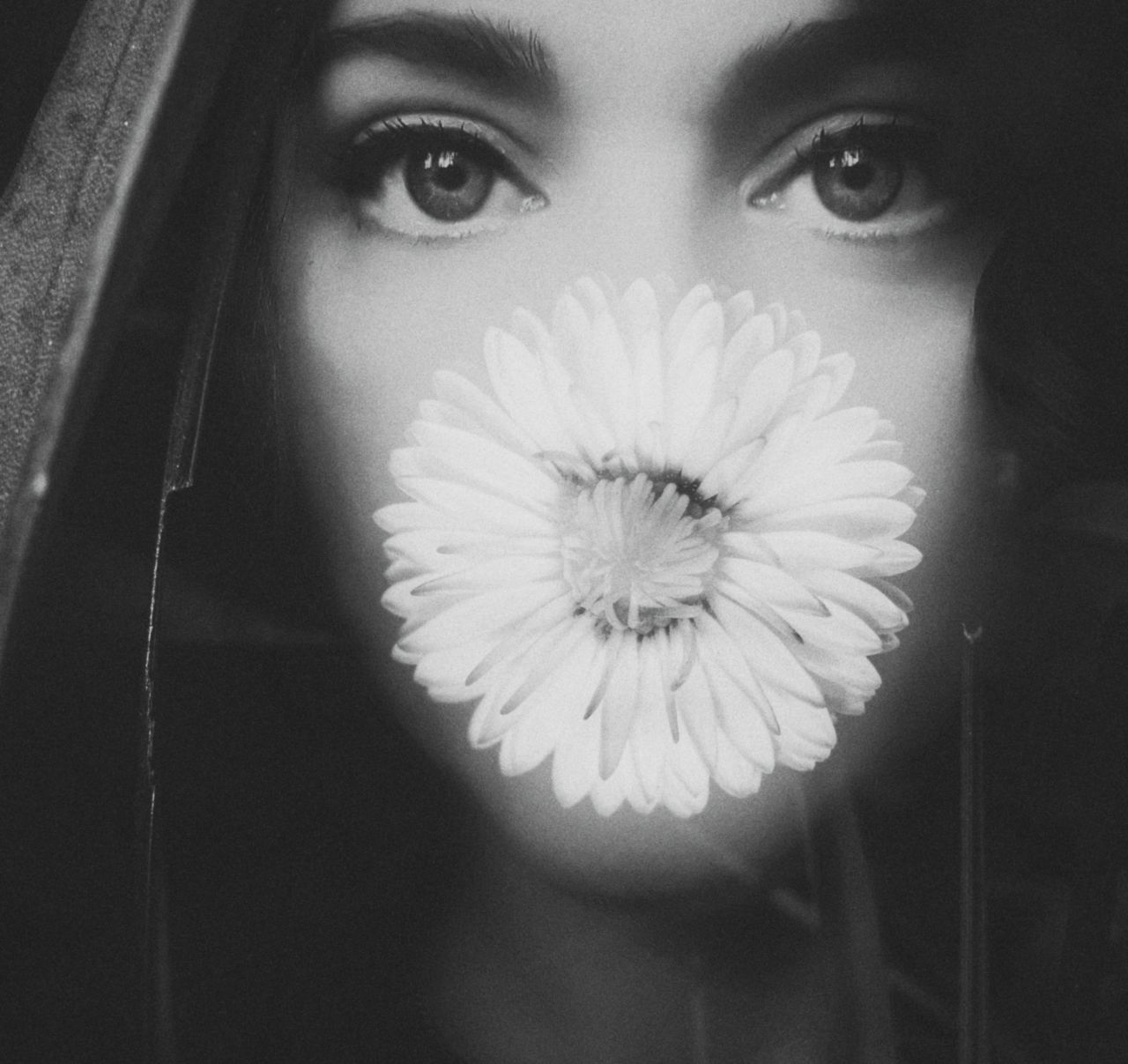 From Echo to Nemesis- by Manuela Frattini