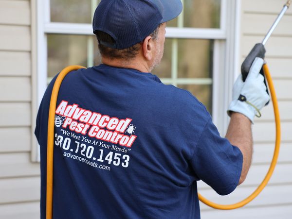 Pest Control - Cortland, OH