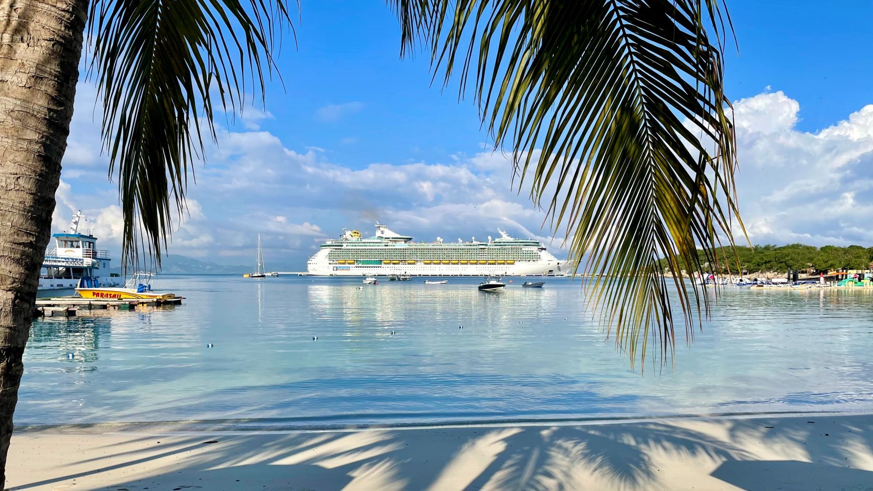 A cruise ship anchored near a tropical beach with palm trees.