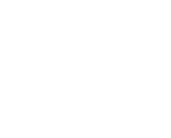 The Soulful Healer