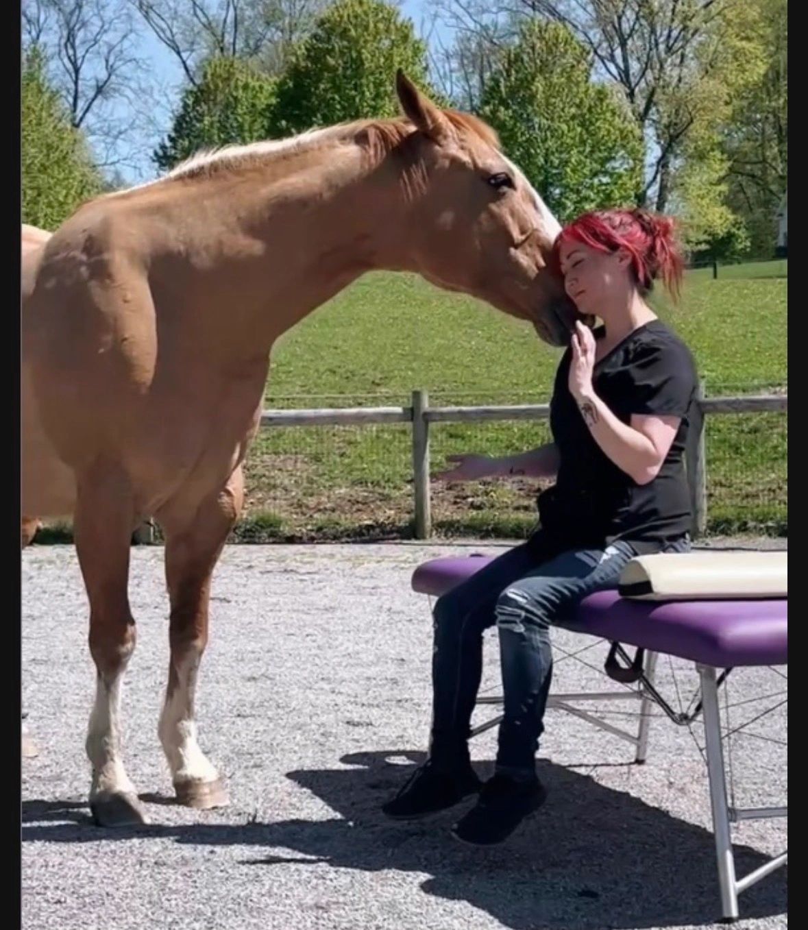 A woman gently interacts with a horse outdoors on a sunny day.