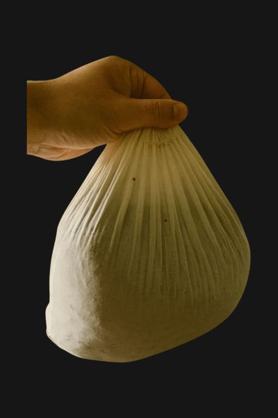Organic Fermentation Bag