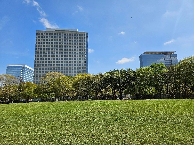 Large green grass field with trees and large buildings in the background in Briar Forest, Houston.