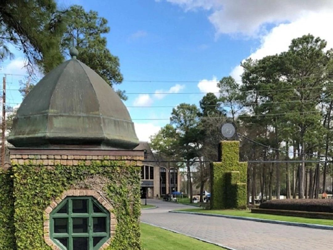 Vines covering brick at the North Gate Country Club in Spring, Texas.