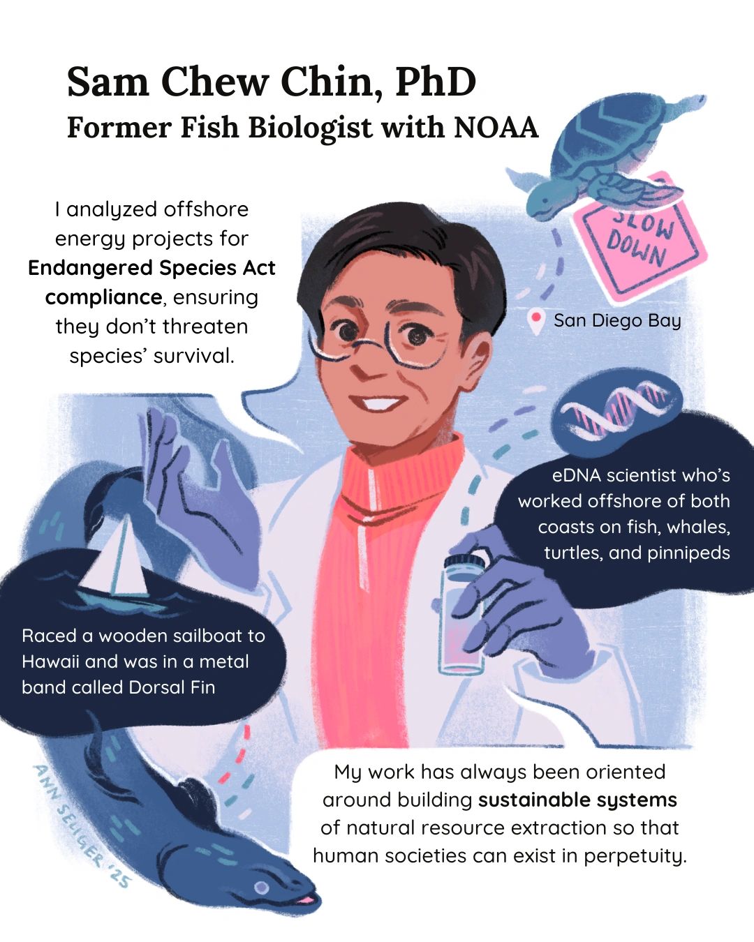 Sam Chew Chin, Whale and Turtle Biologist