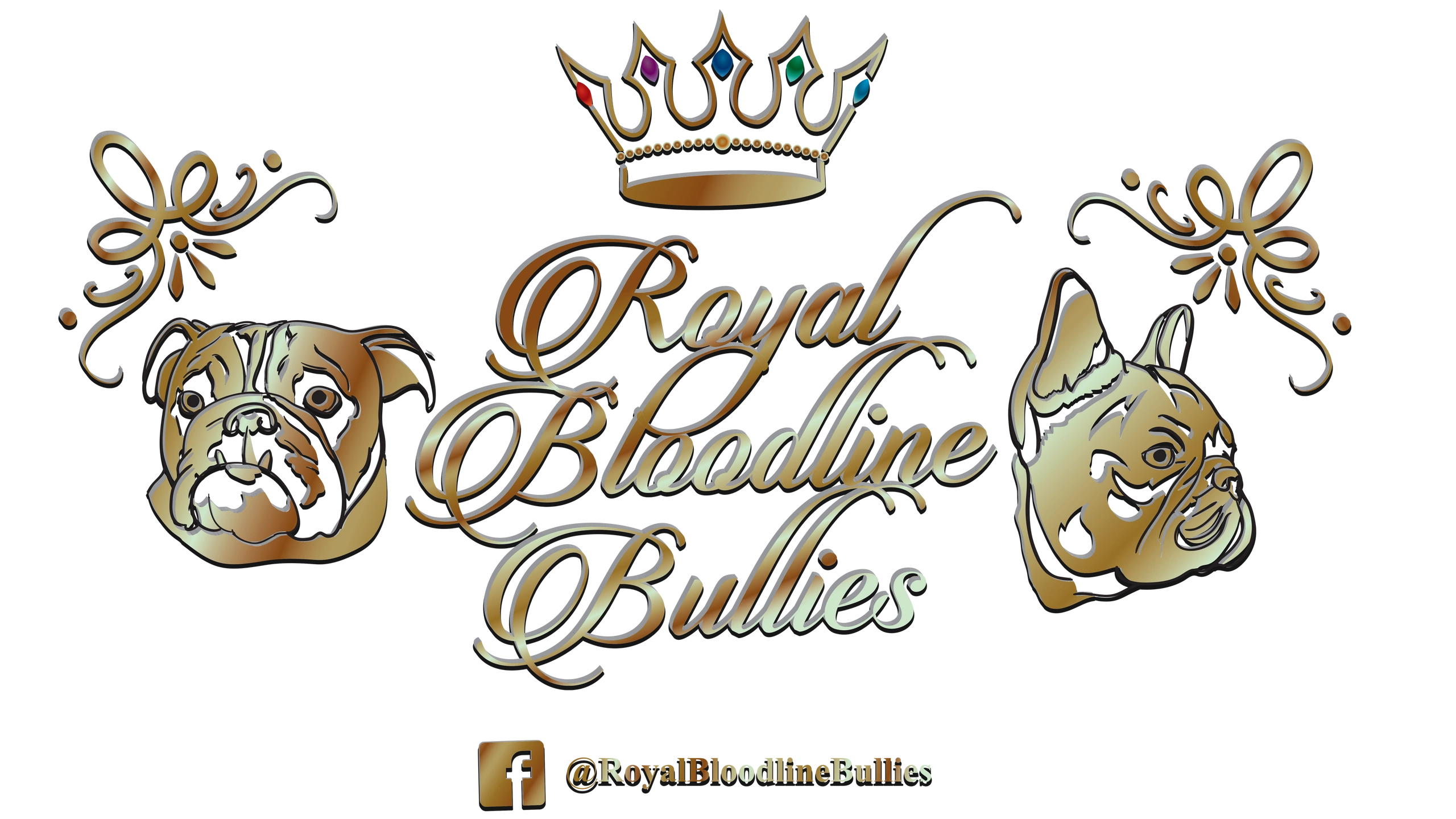 download english bulldog champion bloodline