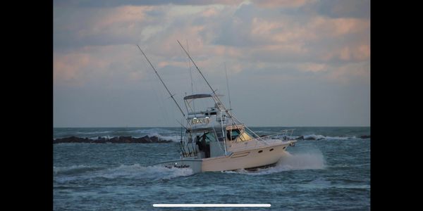 Apex Predator Sportfishing - Florida Fishing, Charter, Boat Charters