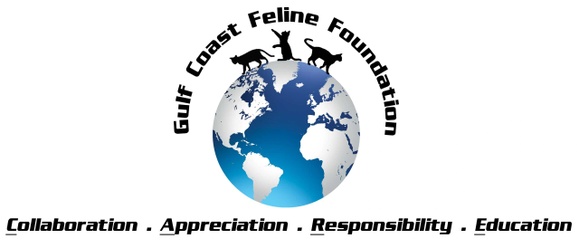 Gulf Coast Feline Foundation