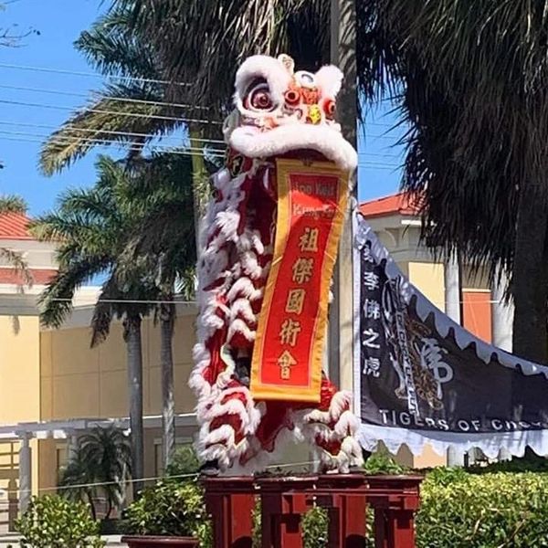 Lion Dance