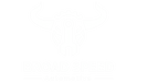 Broad Speed Automotive