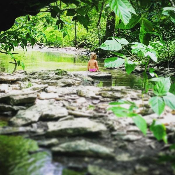 Forest Therapy guided walks at earthjoyvillage.org
