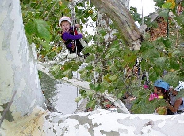 Guided tree climb