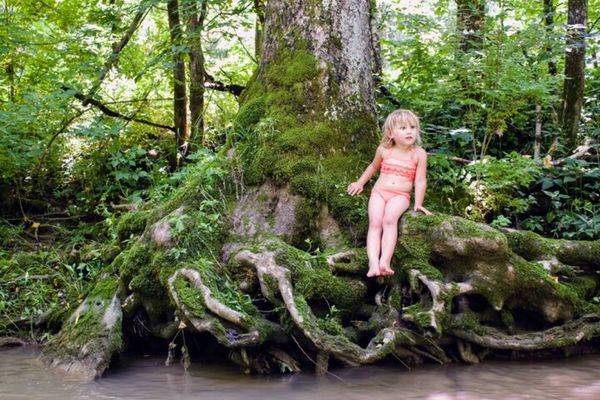 earthjoy treehouse rentals  creeks on trails