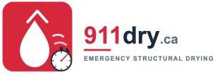 911 Dry