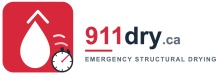 911 Dry