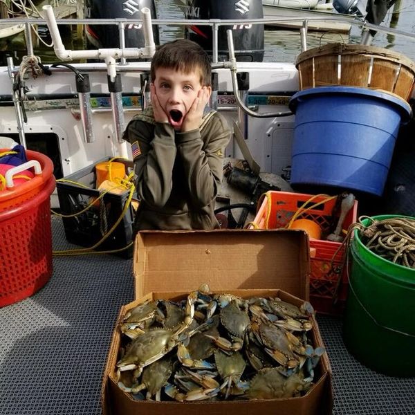 Chesapeake Crabbing Check Rates