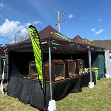 Outdoor booth displaying snakes in glass enclosures under a branded tent.