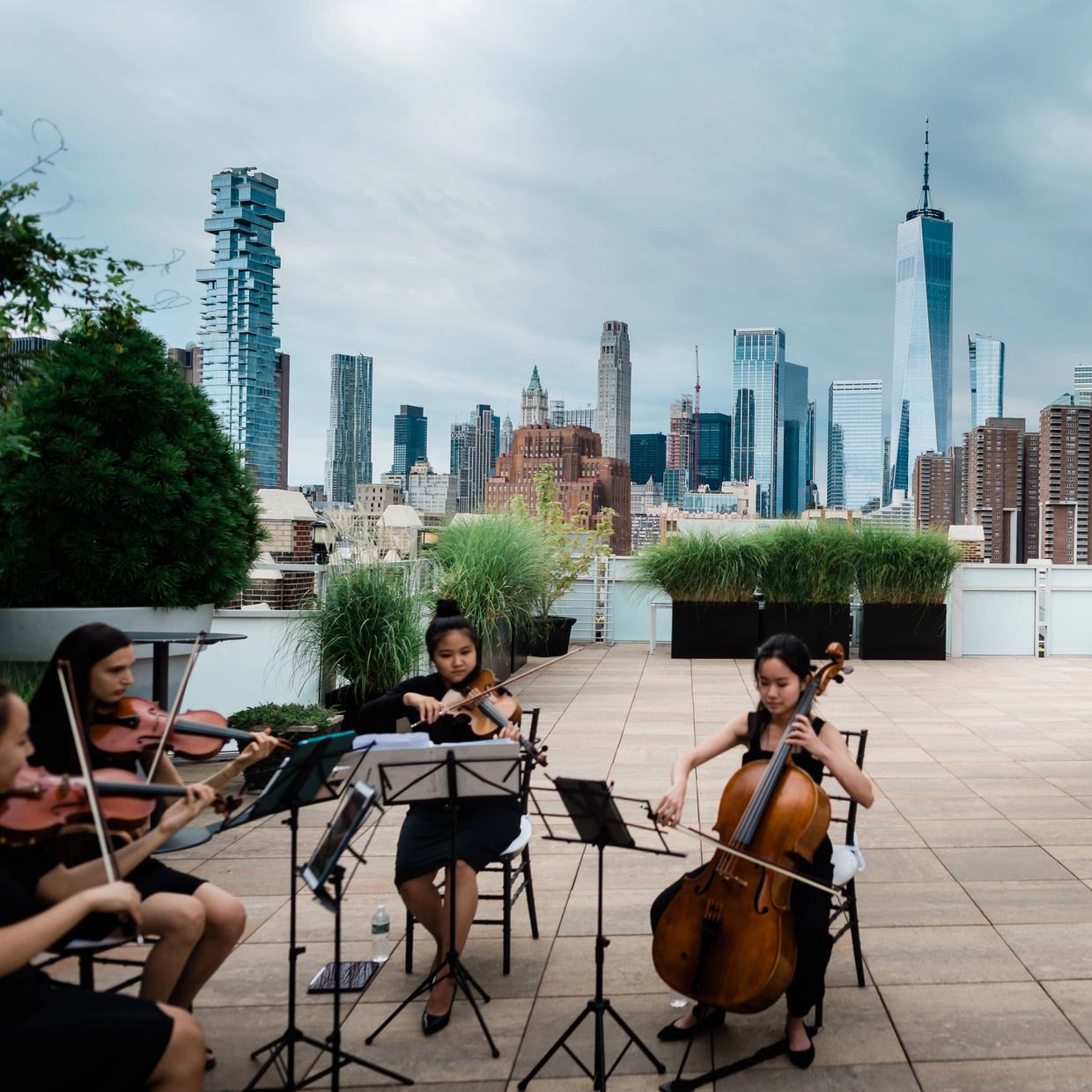 Rooftop Proposal String Quartet 