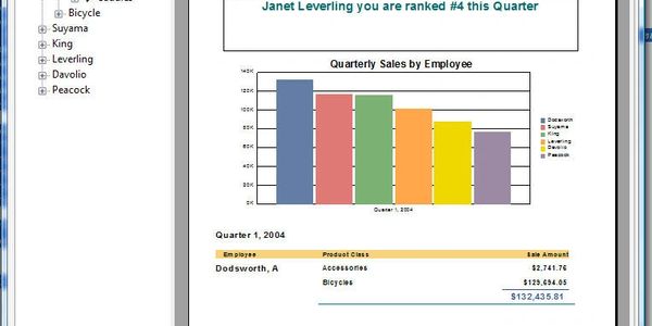 Crystal Reports