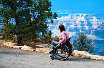 Disability Travel 