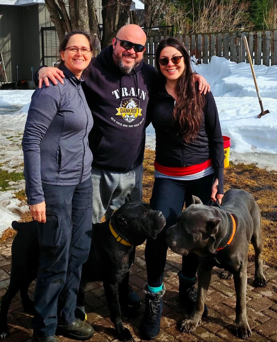 Cane Corso Temperament

Cane Corso Temperament Testing