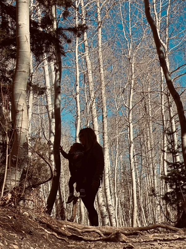 Silhouette of a person holding a child in a forest of leafless trees under a clear blue sky.