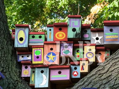 Colorful birdhouses mounted on tree trunks.