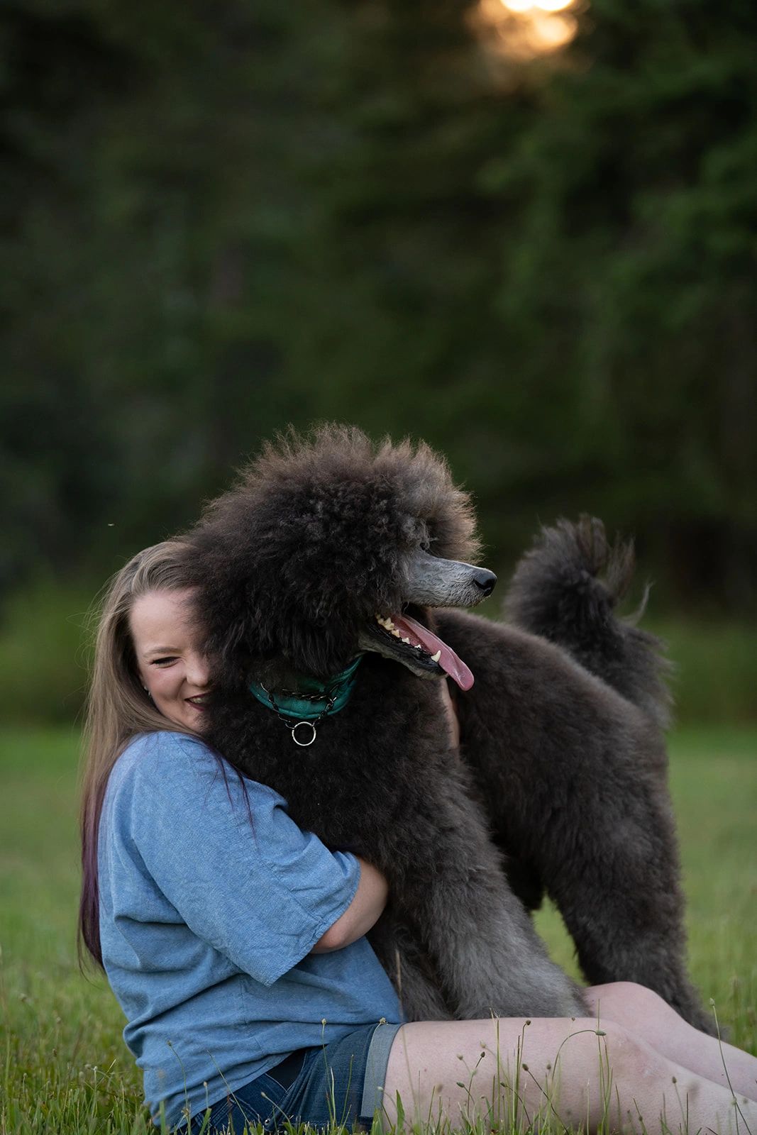 Limitless Skies Dog Training LLC in Libby, Montana