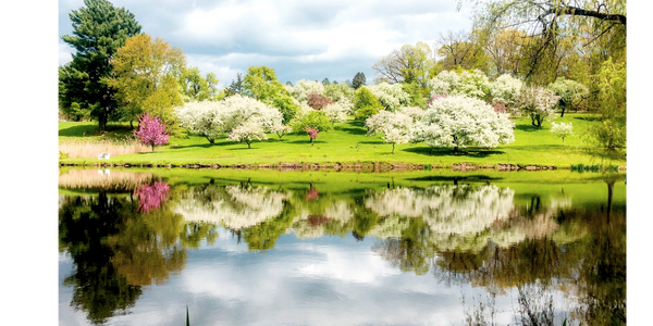 A lake surrounded by colorful blooming trees that are reflected in the lake.