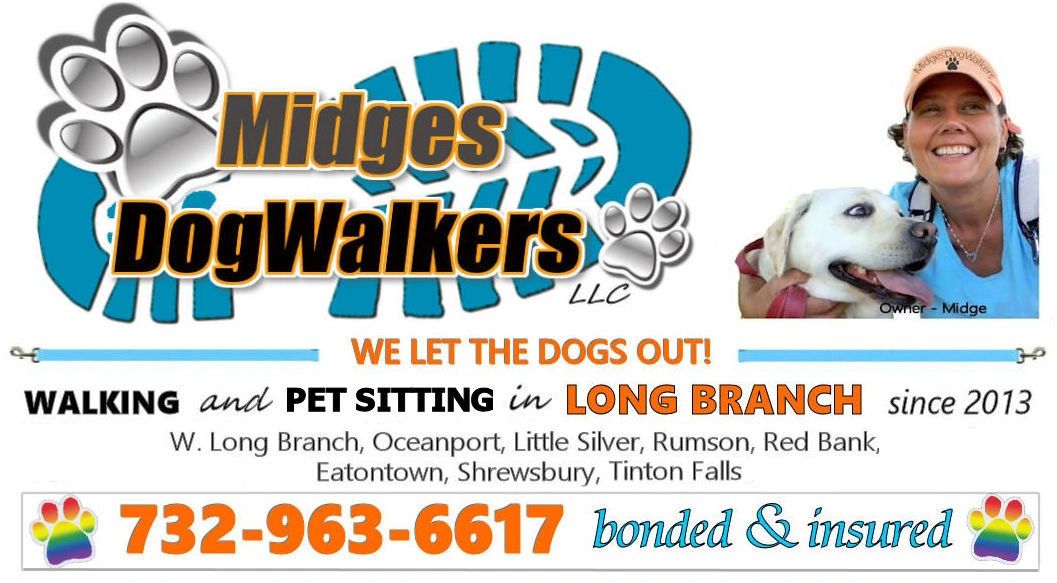 Dignipets Pet Memorial walk Baggeridge 2023 - Dignipets