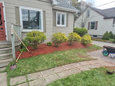 Fresh mulch improving front yard curb appeal