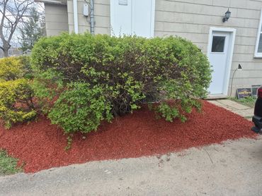 Garden bed with fresh red mulch installed