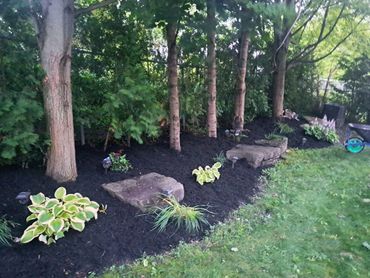 Black mulch landscaping upgrade