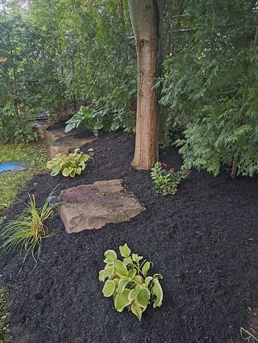 Low-maintenance garden bed with fresh mulch