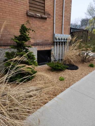 Front yard mulch installation