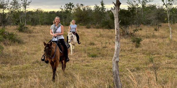 Western Riding Lessons