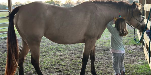 Children's Horse riding lessons