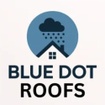 Blue Dot Roofs
