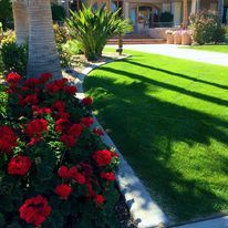 Vegetation managed picture with bright red flowers, green grass, palm tress and curb placement.