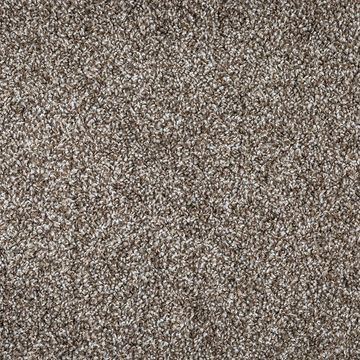 Close-up of a textured brown carpet surface.