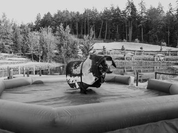 Black and white photo from a private event renting a mechanical bull.