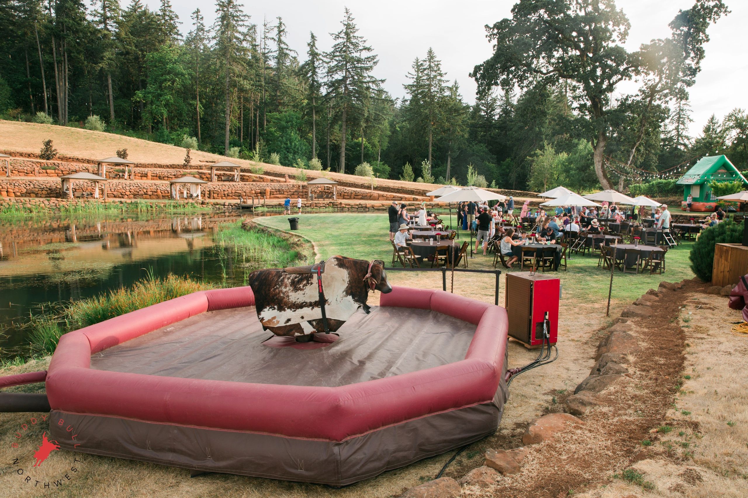 Mechanical Bull for Rent