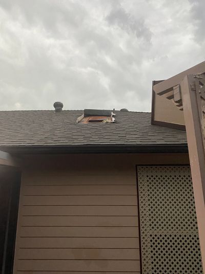 siding chimney that fell over on rooftop