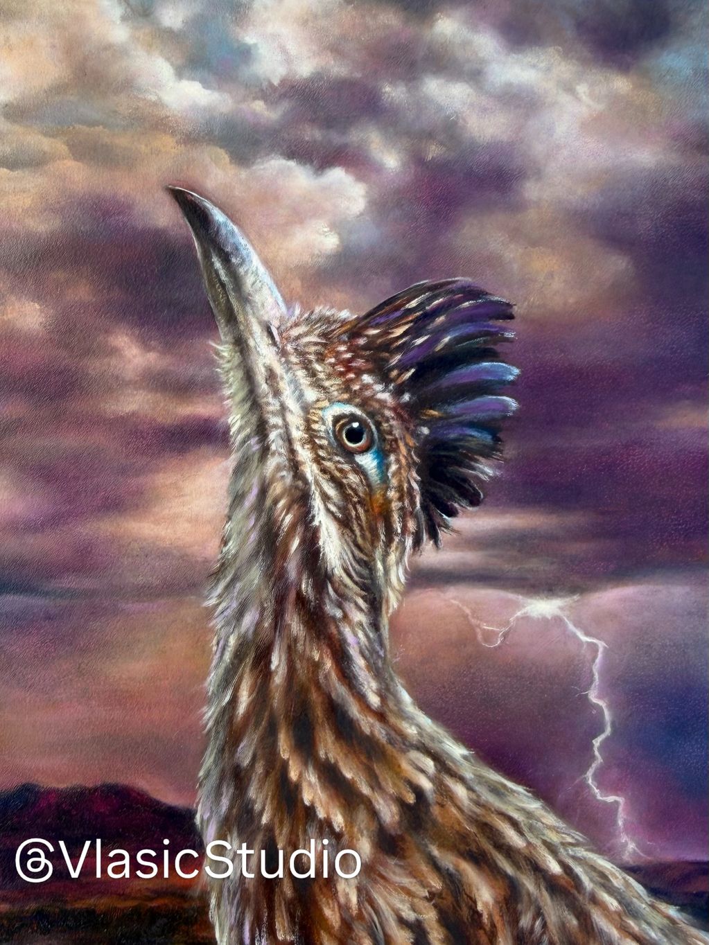Realism oil painting of roadrunner looking up as a storm passes overhead. By artist M Vlasic