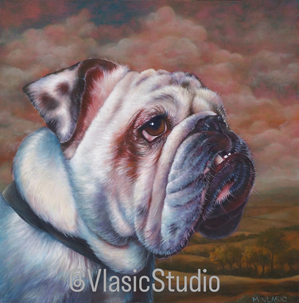 Realism oil painting of English Bulldog in profile set against a country landscape, artist M Vlasic