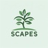 Scapes