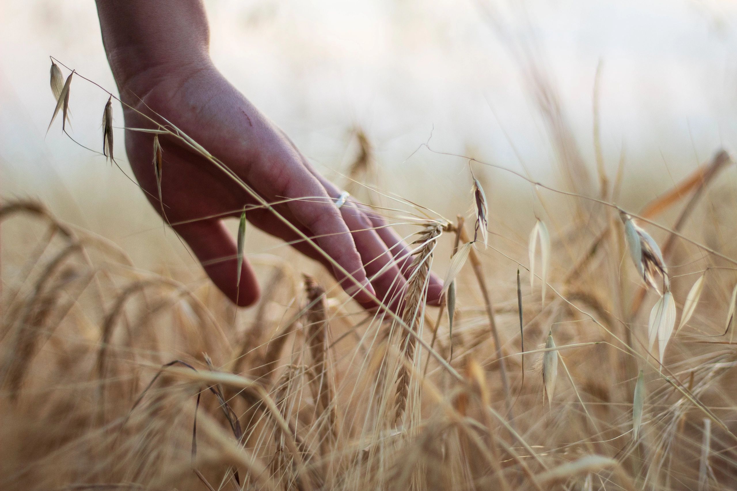 Biossintese Agri Science