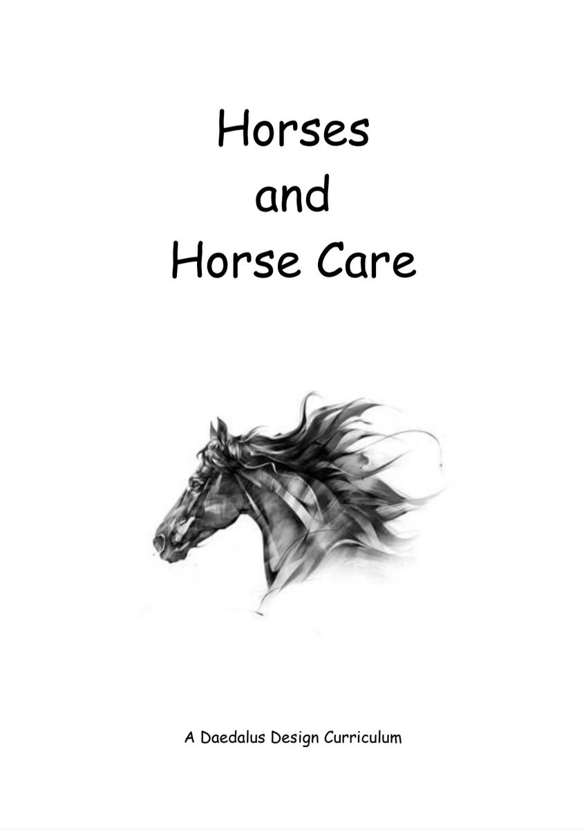 Horses and Horse Care Workbook